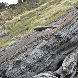 More examples from the past and shows how steep it is