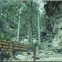 The track to Boolimba Bluff