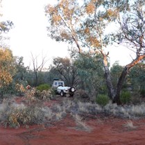 Bush camp at the Luritja Drive intersection