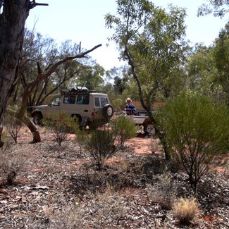 Out of sight from the highway