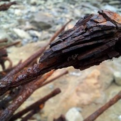 salt rusted jetty bolt