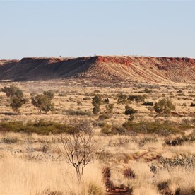 On the track out of DQB - Karlamilyi (Rudall River) National Park