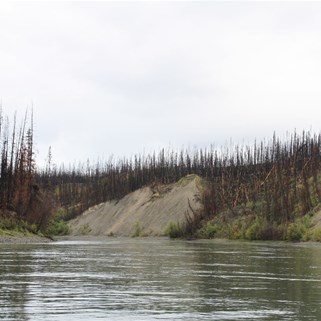 Fire ravaged stretches of the Yukon.