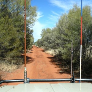 In places trees closed in over the track
