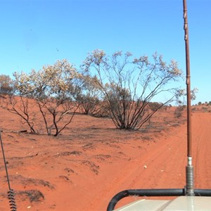 Burnt country just out from Warburton