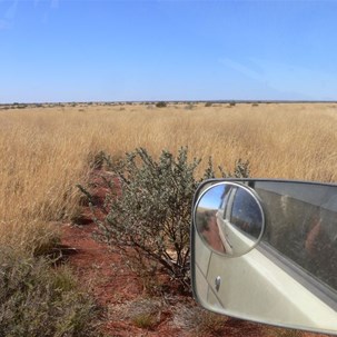 Open plains covered with spinifex