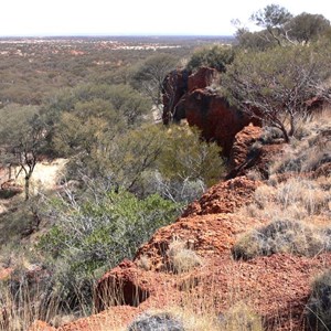Looking from the gorge rim across a sea of mulga