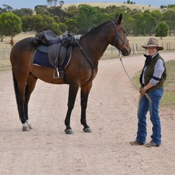 This lady came from just north of Adelaide to be part of the event