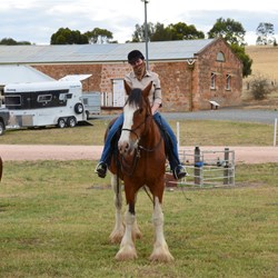 This poor lady from Adelaide had to pull out of the ride, less than 30 minutes after the ride started when the horse went lame