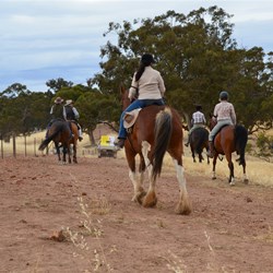 Travelling through Bungaree Station