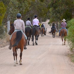 It was now time to travel on the back roads to the racecourse