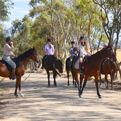 Travelling on the back roads