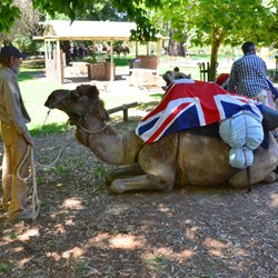 Time to place the Union Jack Flags on the Bodies at Pioneer Park