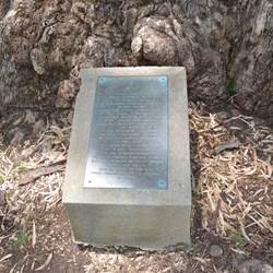 The plaque at Pioneer Park