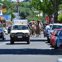 Mark escorting the parade down the Main Street
