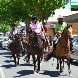 Now its the horses turn