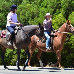 Molley giving the thumbs up knowing that the days ride in nearly over 