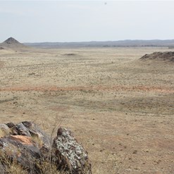 Compound Location 2012