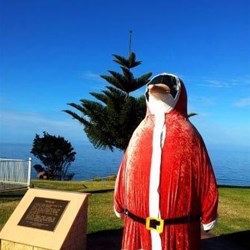 Xmas Penguin in Penguin