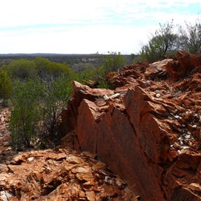Country around Laverton - red rocks and lots of mulga