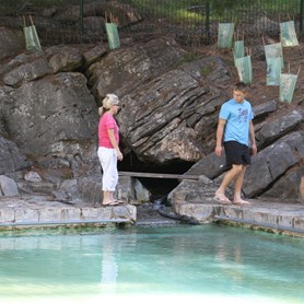 The spring fed swimming pool