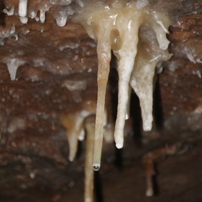 Stalactite formation in progress