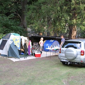 Camp on Combi's flat