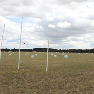 Someones country Xmas offering - Santa booting a goal near Sale