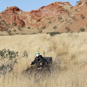 High Spinifex makes the going difficult