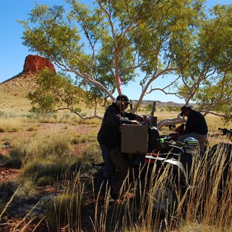Lunch break under the gum at Darlsen Pinnacle