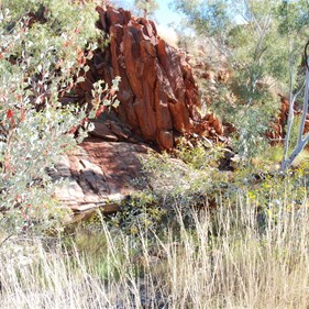 The pool at the gorge mouth - hard to negotiate head on