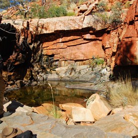 Stumbling onto the second find of the day