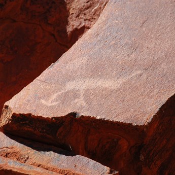 Rock art - emu glyph