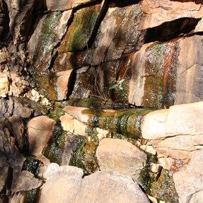 Natural seepage feeding the pool