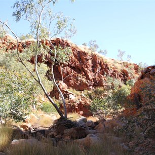 Heading further into the Broadhurst Ranges