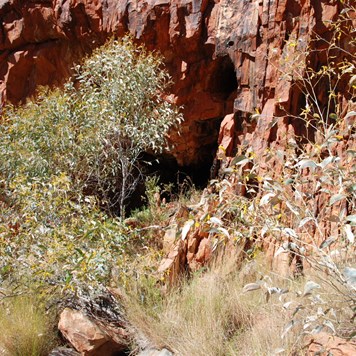 The cave entrance