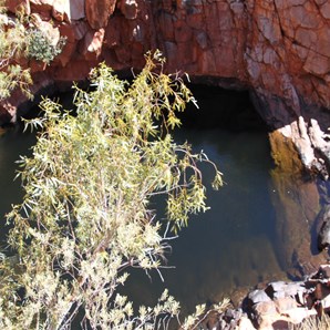 The pool seen from on high