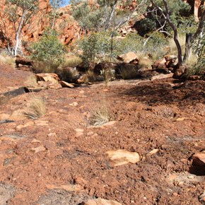 Conglomerate surface