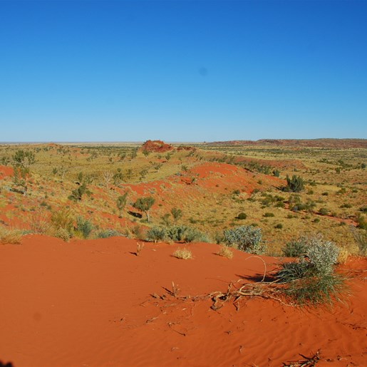View to the south east from the dune peak - Pyramid Point