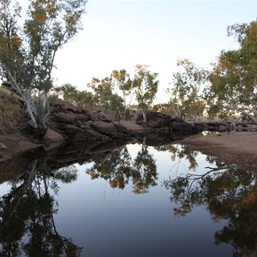 Early morning reflections at Tjarra Pool