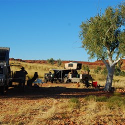 Camp under the gum at Desert Queen Baths