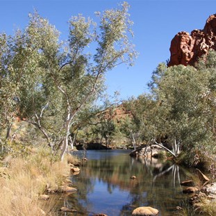 3 Goanna's Pool, DQB gorge