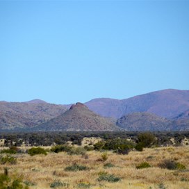Looking across the Musgrave Ranges