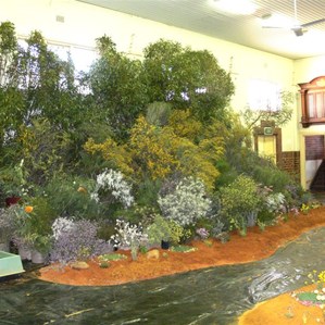 Massed display, Mullewa Flower Show