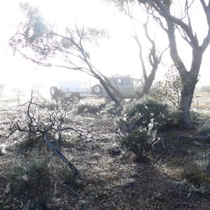 Our foggy camp, surrounded by spider's webs