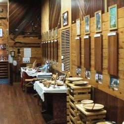 Display Inside of the Museum