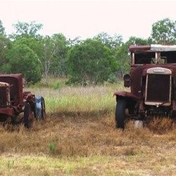 The Remains of a Logging Fleet