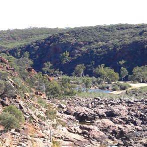 Murchison River upstream of the gorges