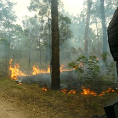 We hoped these small fires would not become a problem