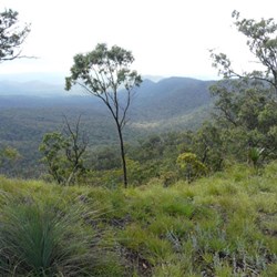 View from Top Shelter